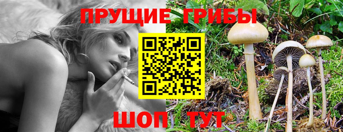 Псилоцибиновые грибы ЛСД  Вход с VPN  Будённовск 